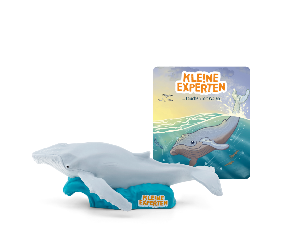 KLE!NE EXPERTEN tauchen mit Walen