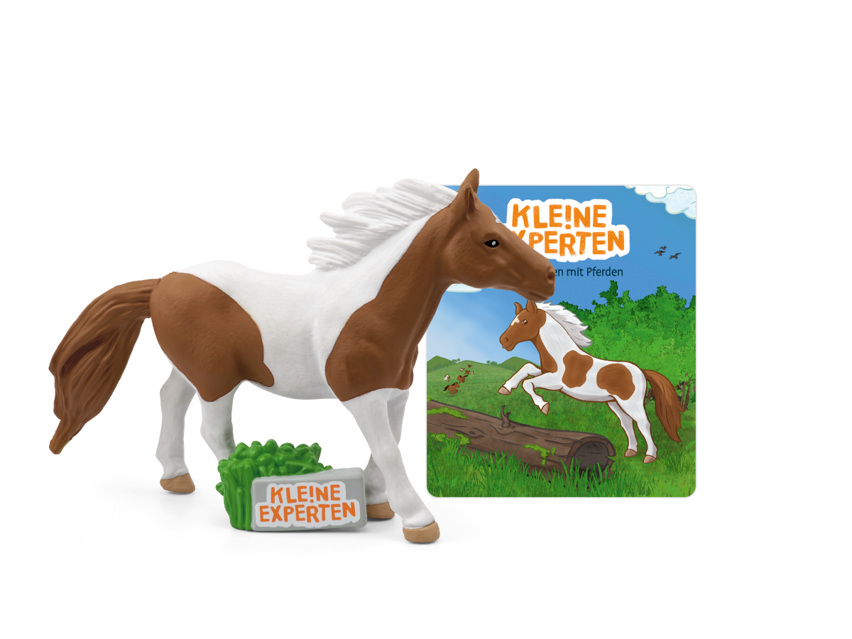 KLE!NE EXPERTEN ... galoppieren mit Pferden