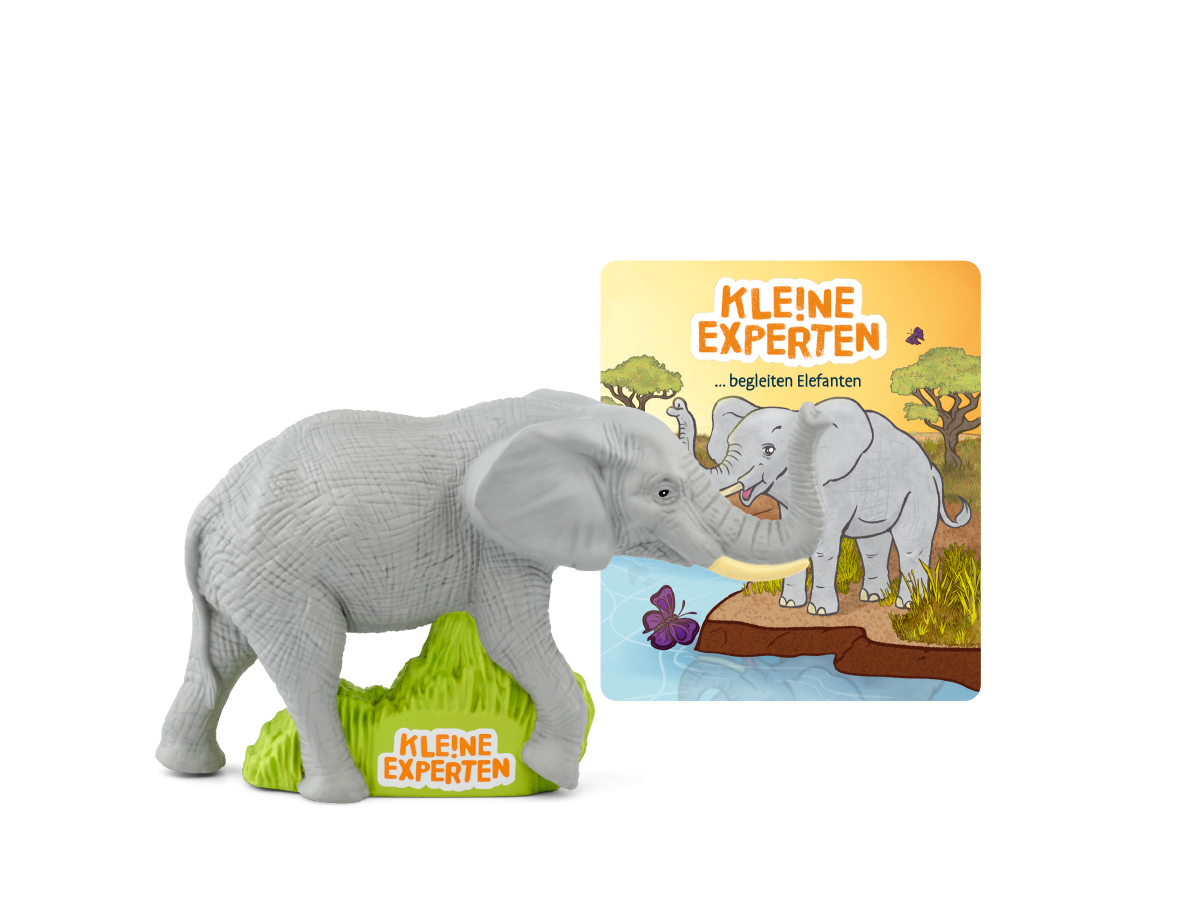 KLE!NE EXPERTEN ... begleiten Elefanten