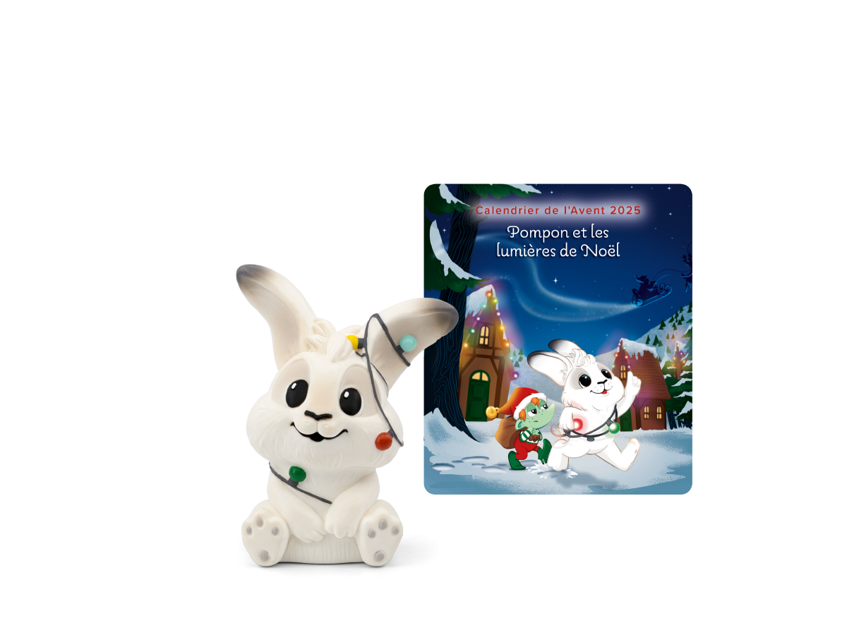 Pompon Et Les Lumières De Noël