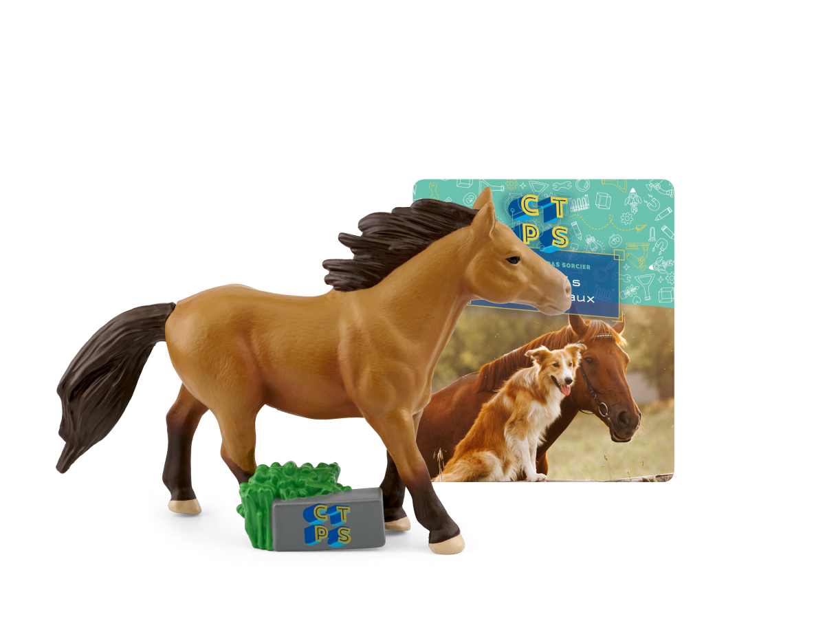 Nos amis les animaux